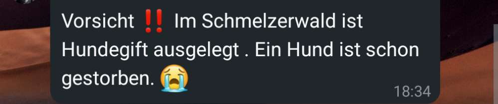 Giftköder-Giftköder-Bild