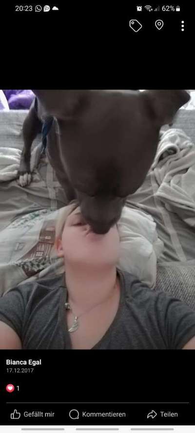 Hundeangriff in Griechenland - wie verhindern, vorbeugen?-Beitrag-Bild