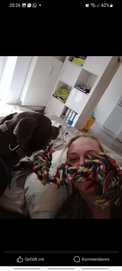 Hundeangriff in Griechenland - wie verhindern, vorbeugen?-Beitrag-Bild