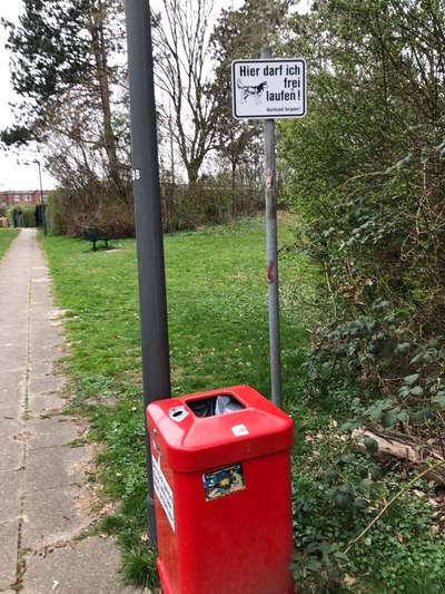 Hundeauslaufgebiet-Fritz-Lindemann-Weg/Reinbeker Redder-Bild