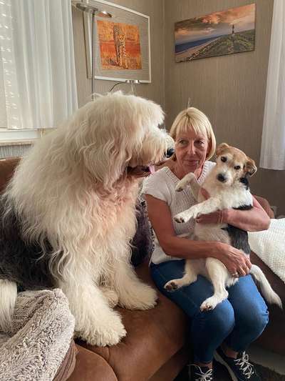 Was haben eure Hunde schon gefressen oder zerstört ?-Beitrag-Bild