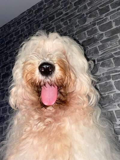 Zeigt eure Portraits-Beitrag-Bild