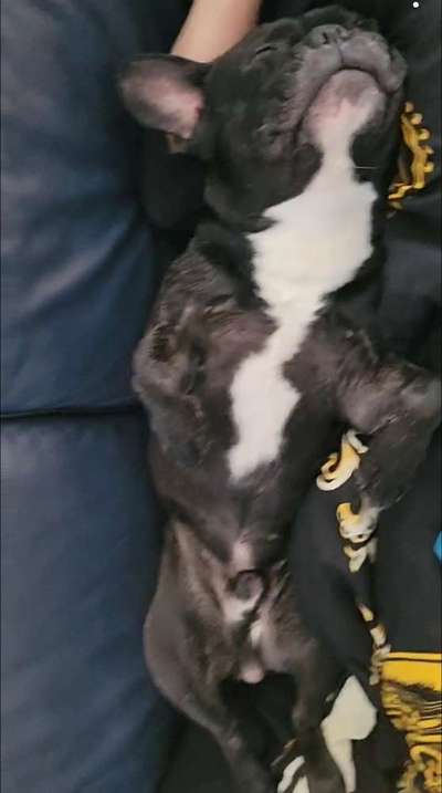 Fotochallenge Nr.65-Beitrag-Bild