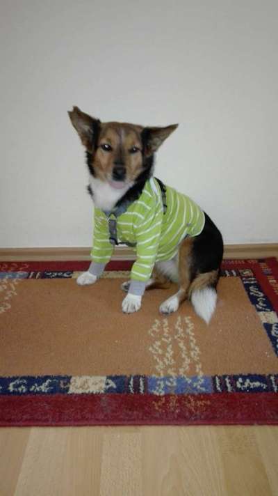 Euer absolutes lieblings Bild !-Beitrag-Bild