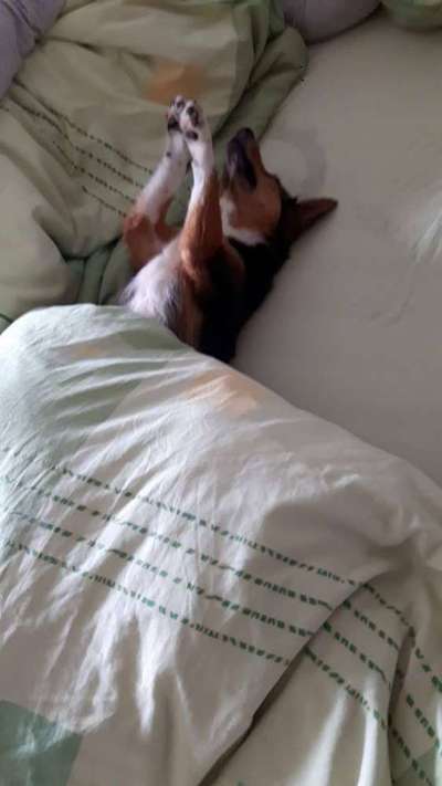 Schlafpositionen-Beitrag-Bild