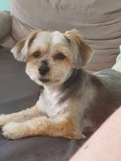 eure Spitznamen für die Vierbeiner-Beitrag-Bild