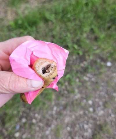 Giftköder-Wurstköder mit Rasierklinge-Bild