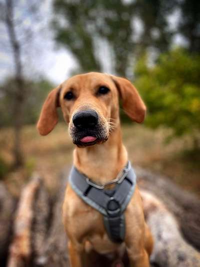 Lieblingsbild-Beitrag-Bild