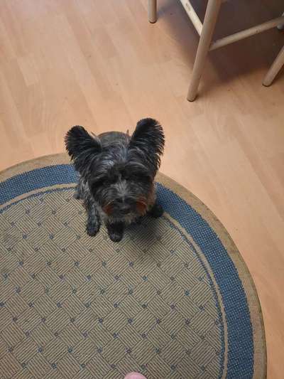 Handy-Foto Challange Nr. 10-Beitrag-Bild