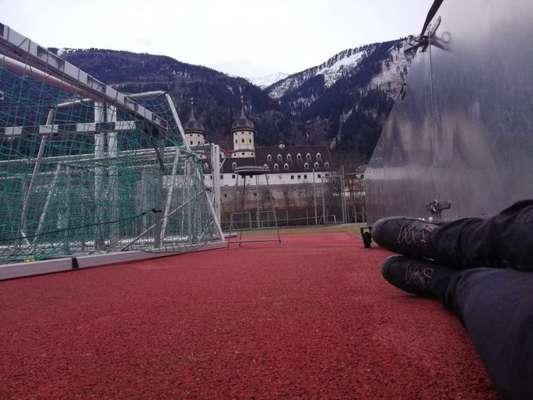 Rhodesian Ridgeback-Beitrag-Bild