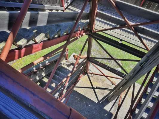 Rhodesian Ridgeback-Beitrag-Bild