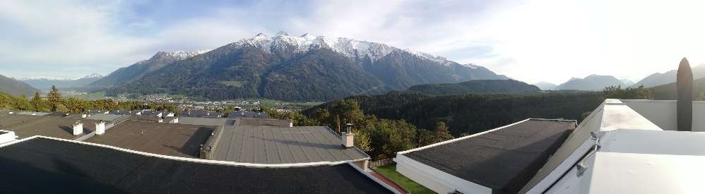 Rhodesian Ridgeback-Beitrag-Bild