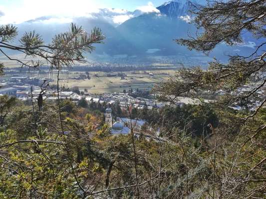 Rhodesian Ridgeback-Beitrag-Bild