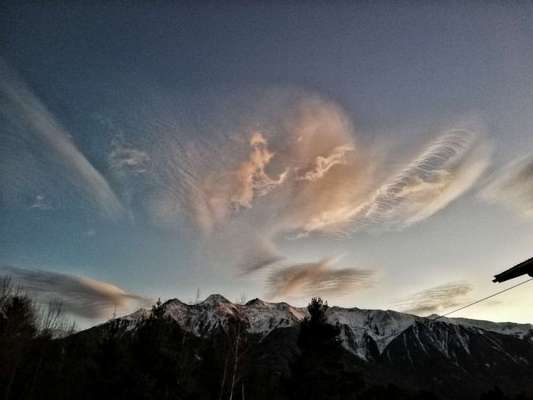 Rhodesian Ridgeback-Beitrag-Bild