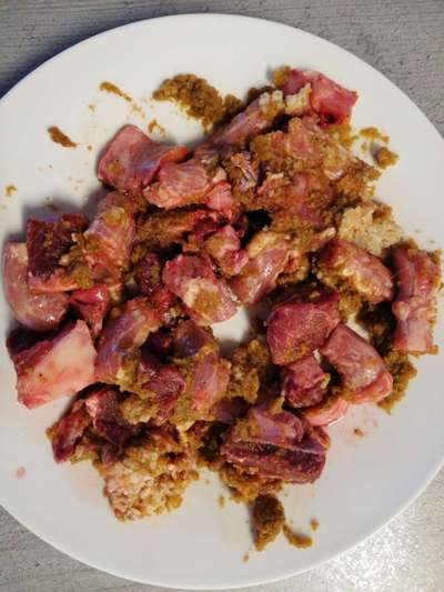 Rhodesian Ridgeback-Beitrag-Bild