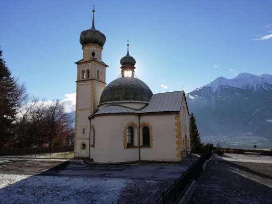 Rhodesian Ridgeback-Beitrag-Bild