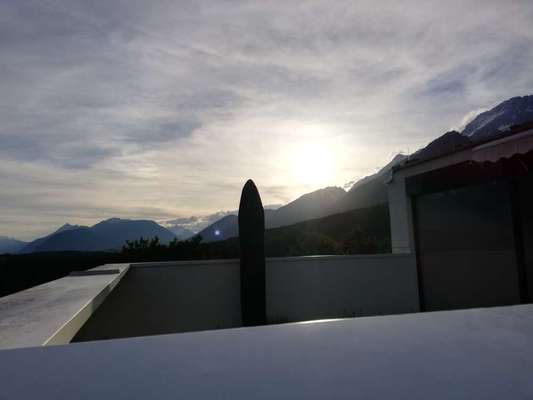 Rhodesian Ridgeback-Beitrag-Bild