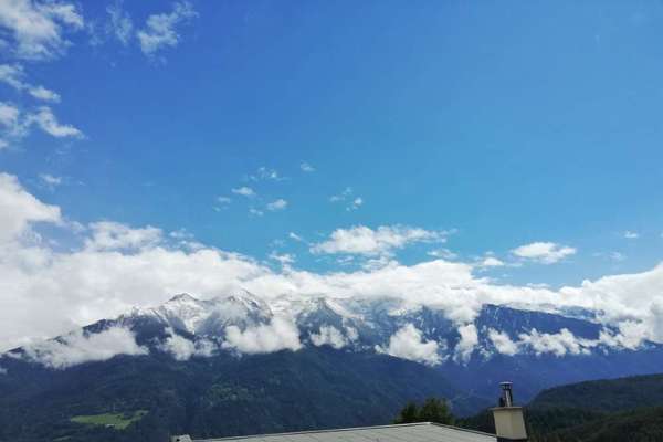 Rhodesian Ridgeback-Beitrag-Bild