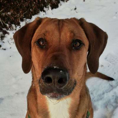 Fotochallange Nr. 57     PORTRÄT.   Beendet!!!!!!!!-Beitrag-Bild