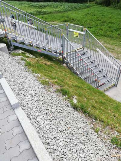 Rhodesian Ridgeback-Beitrag-Bild