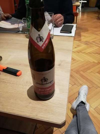 Rhodesian Ridgeback-Beitrag-Bild