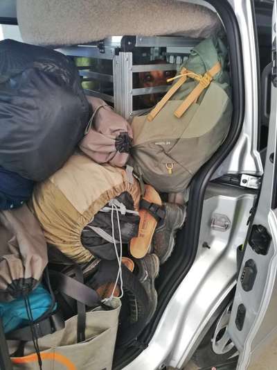 Rhodesian Ridgeback-Beitrag-Bild