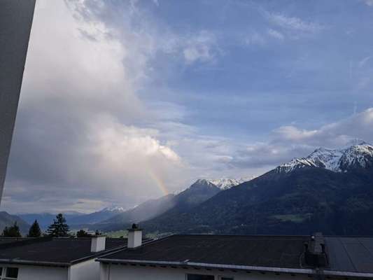 Rhodesian Ridgeback-Beitrag-Bild