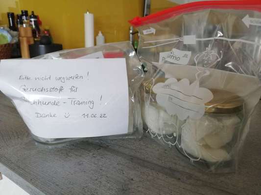 Rhodesian Ridgeback-Beitrag-Bild