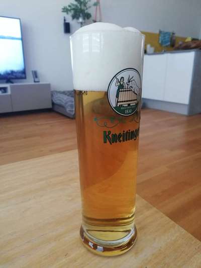 Rhodesian Ridgeback-Beitrag-Bild