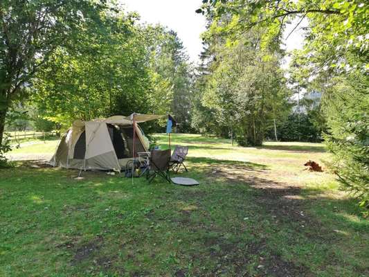 Rhodesian Ridgeback-Beitrag-Bild