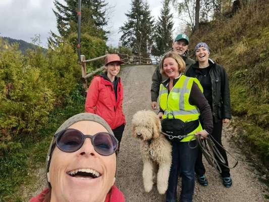 Rhodesian Ridgeback-Beitrag-Bild