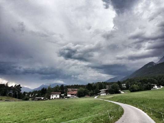 Rhodesian Ridgeback-Beitrag-Bild