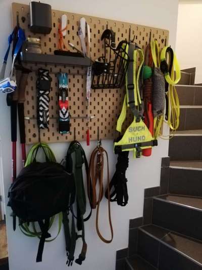 Ridgeback Ausstattung-Beitrag-Bild