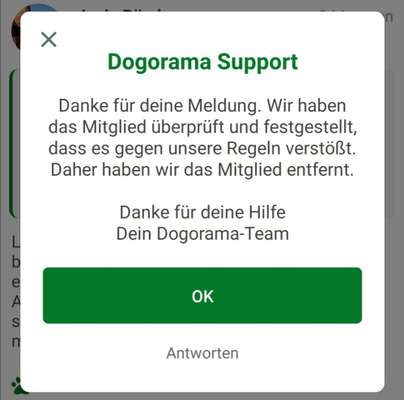 Rhodesian Ridgeback-Beitrag-Bild