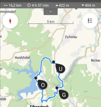 Rhodesian Ridgeback-Beitrag-Bild