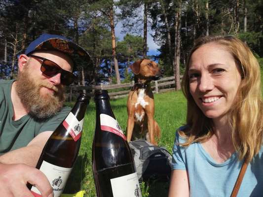 Rhodesian Ridgeback-Beitrag-Bild