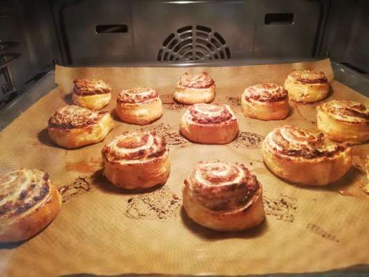 Rhodesian Ridgeback-Beitrag-Bild