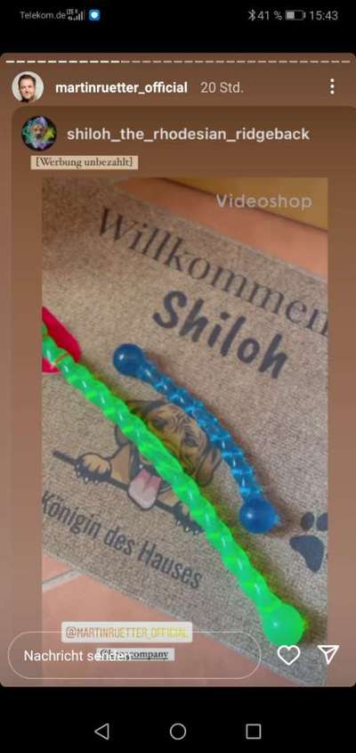 Rhodesian Ridgeback-Beitrag-Bild