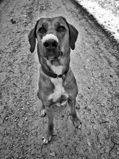 Foto-Challenge 76: Foto in Schwarz-Weiss-Beitrag-Bild