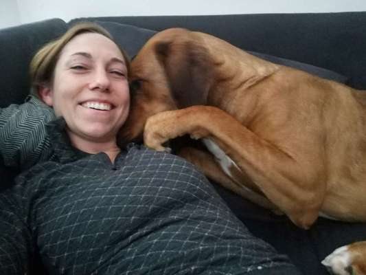 Rhodesian Ridgeback-Beitrag-Bild