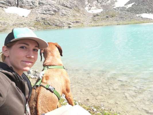 Rhodesian Ridgeback-Beitrag-Bild