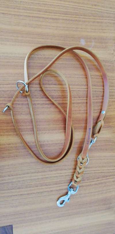 Ridgeback Ausstattung-Beitrag-Bild