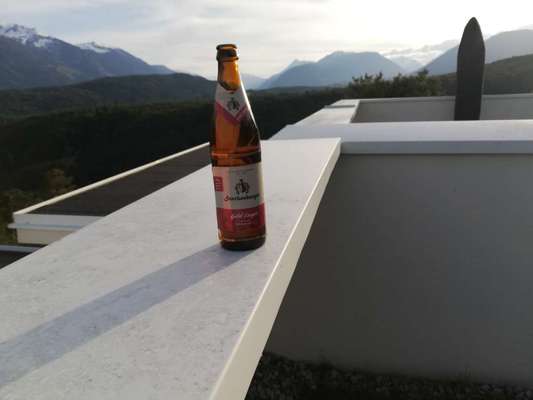 Rhodesian Ridgeback-Beitrag-Bild