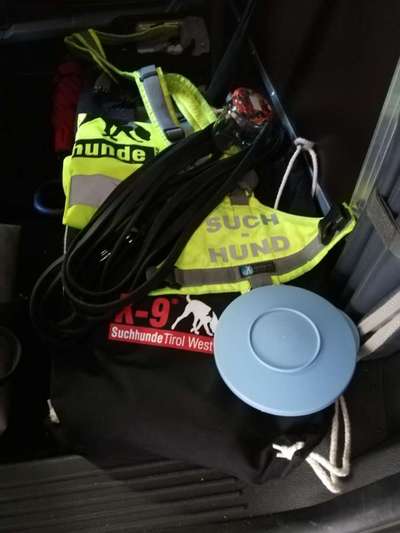 Rhodesian Ridgeback-Beitrag-Bild