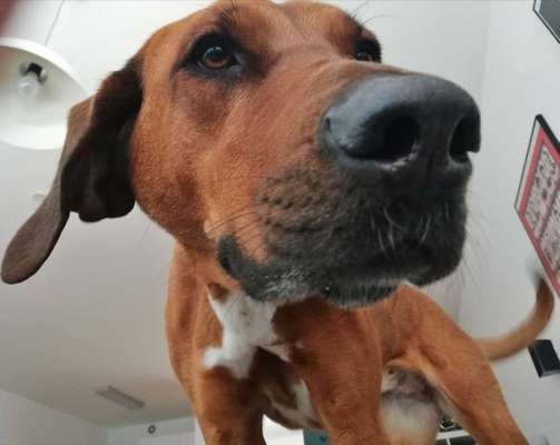 Fotochallange 84-Beitrag-Bild