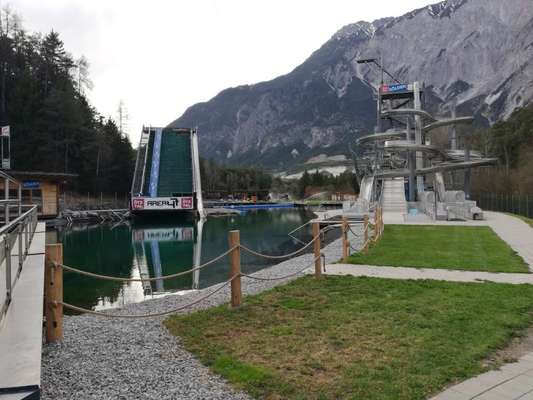 Rhodesian Ridgeback-Beitrag-Bild