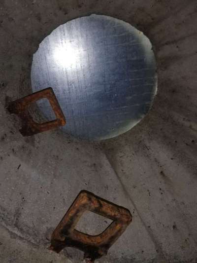 Rhodesian Ridgeback-Beitrag-Bild