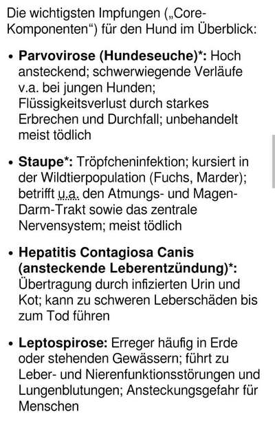 Rhodesian Ridgeback-Beitrag-Bild