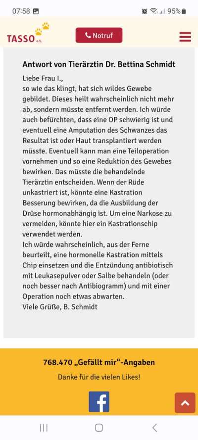 Rhodesian Ridgeback-Beitrag-Bild