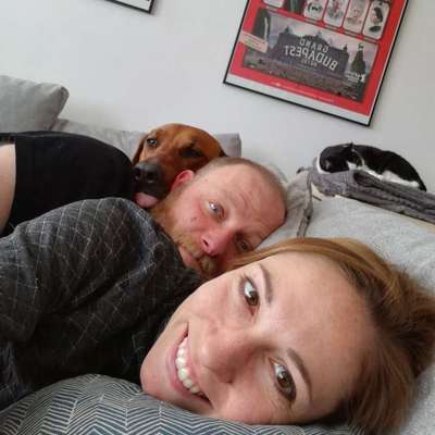 Rhodesian Ridgeback-Beitrag-Bild